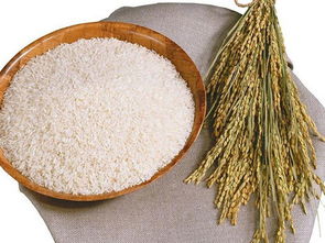 南城膳食公司 東莞區(qū)域信譽(yù)卓越的食堂承包與餐飲信息咨詢服務(wù)專家